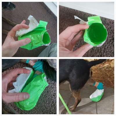 Hundesocke draußen-Beitrag-Bild