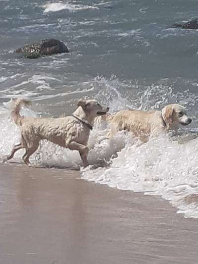 Fotochallenge Nr. 94 It's summer time-Beitrag-Bild