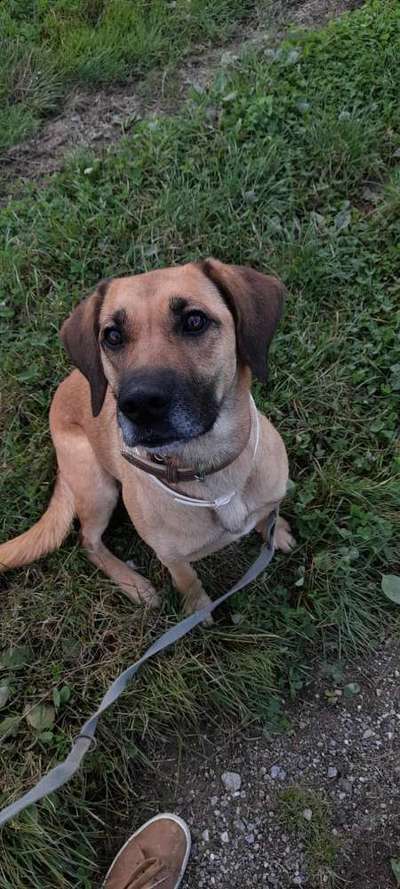 Lieblingsbild :D-Beitrag-Bild