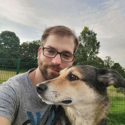 Hundetreffen-Gassirunden-Profilbild