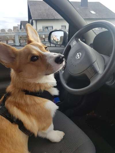 CHALLENGE NR. 18 - ON TOUR-Beitrag-Bild