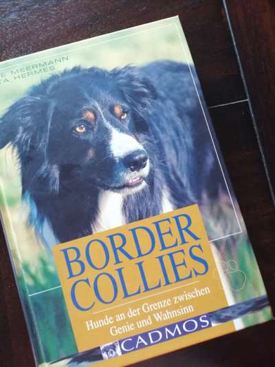 Buchempfehlung zum Border Collie-Beitrag-Bild