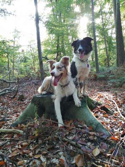 Herbst Bilder-Beitrag-Bild