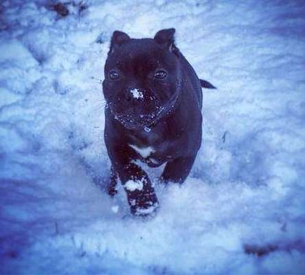 Fotochallenge 61 ~ Schnee-Beitrag-Bild