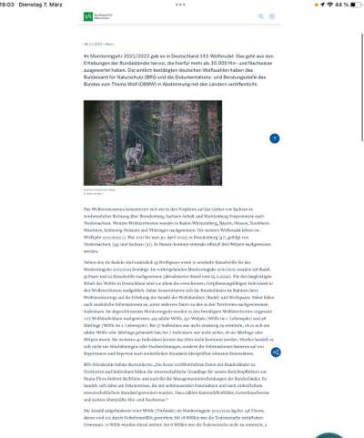 Wolfsbegegnung-Beitrag-Bild