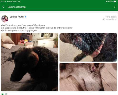 Rattenbiss/ Nutria-Beitrag-Bild