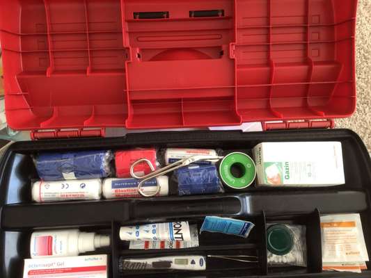 Fieber messen mit Fieberthermometer - Medical Training-Beitrag-Bild