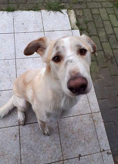 Von oben-Beitrag-Bild