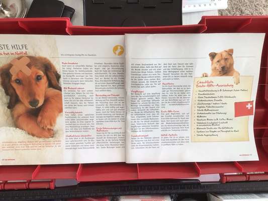 Fieber messen mit Fieberthermometer - Medical Training-Beitrag-Bild