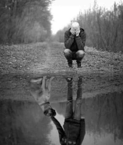 Berührende Hunde Bilder/Videos-Beitrag-Bild