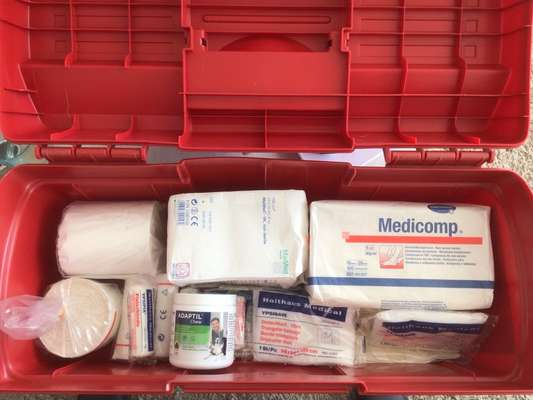 Fieber messen mit Fieberthermometer - Medical Training-Beitrag-Bild