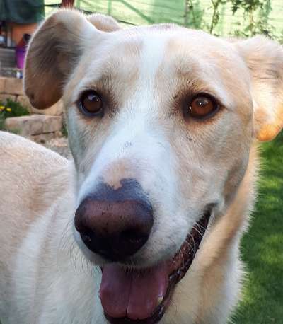 Lieblingsbild :D-Beitrag-Bild