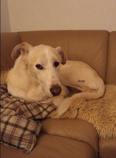 Fotochallenge 130-Beitrag-Bild