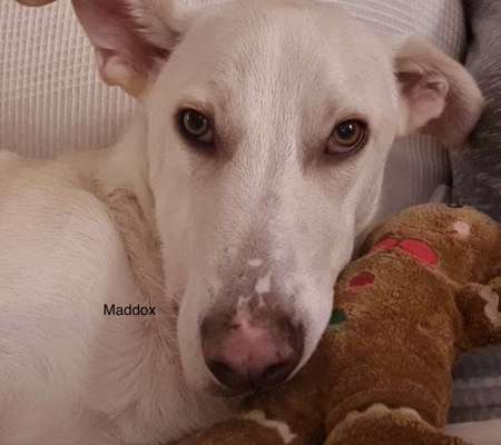 Fotochallenge 130-Beitrag-Bild