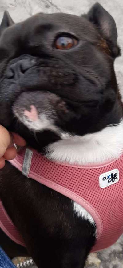 Blick fürs Detail!-Beitrag-Bild