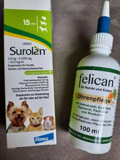 Ohrenentzündung-Beitrag-Bild