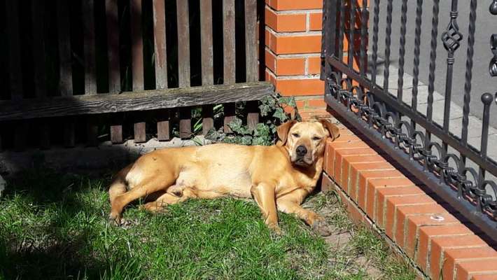 4. Lustiger Schlafplatz-Beitrag-Bild