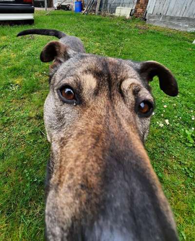 Fotochallange 84-Beitrag-Bild