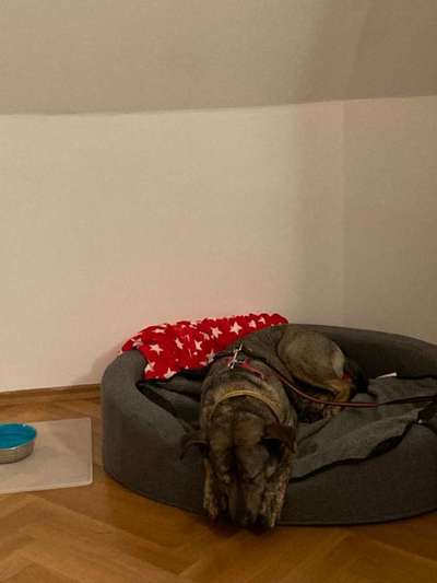 4. Lustiger Schlafplatz-Beitrag-Bild