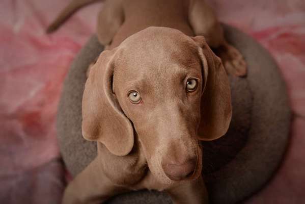 Handy-Foto Challange Nr. 10-Beitrag-Bild