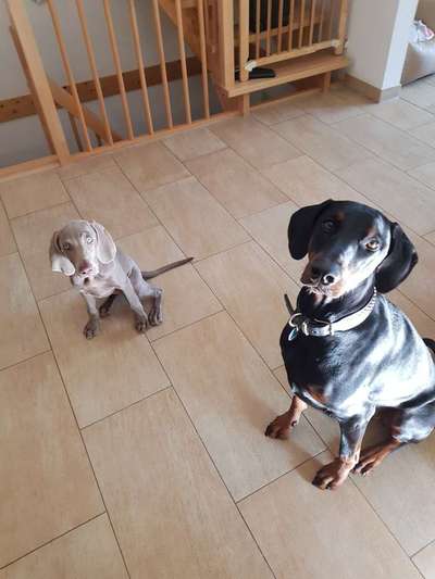 Handy-Foto Challange Nr. 10-Beitrag-Bild