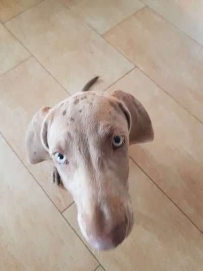 Handy-Foto Challange Nr. 10-Beitrag-Bild