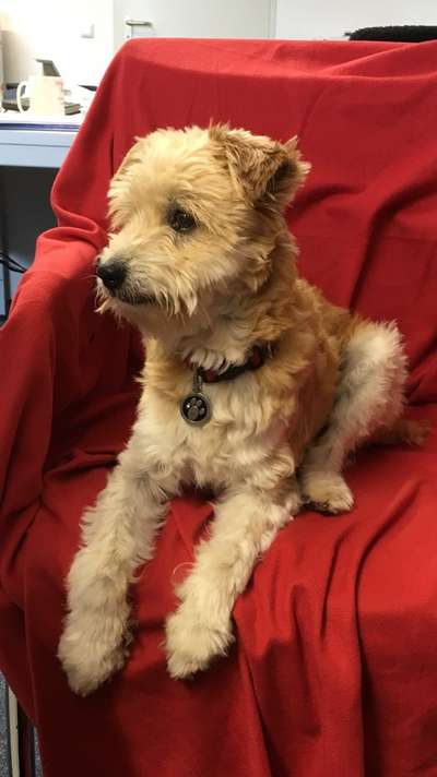 Fotochallenge Nr. 56 - geliebte Senioren-Beitrag-Bild