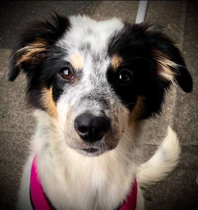 Fotochallange Nr. 57     PORTRÄT.   Beendet!!!!!!!!-Beitrag-Bild