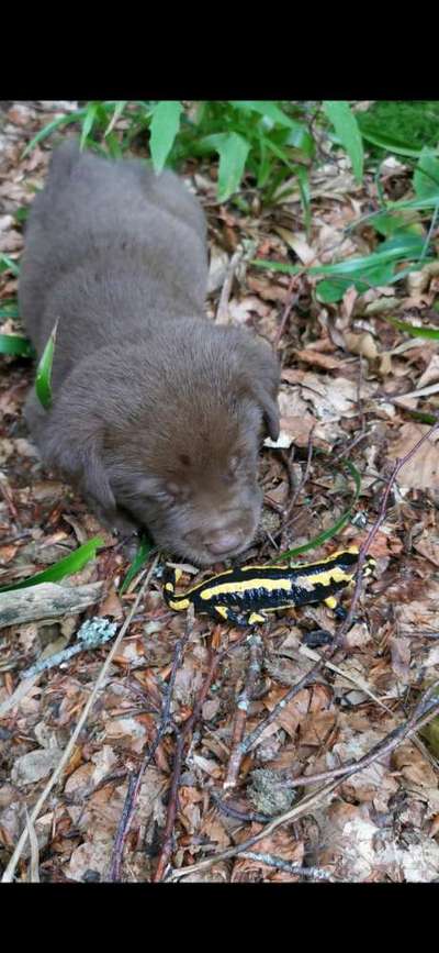 63. Handyfotochallenge   * Nase dran ! *-Beitrag-Bild