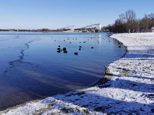 Hundeauslaufgebiet-Krontaler Weiher-Bild