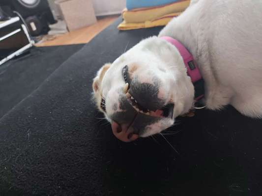 Lustige Grimassen & verrückte Posen-Beitrag-Bild