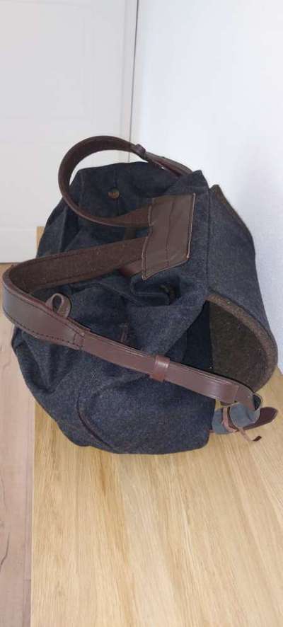 Neuer Dackelrucksack-Beitrag-Bild