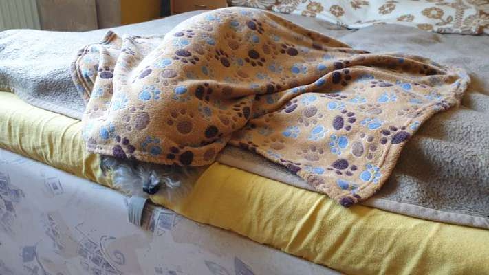 80. Foto  Challenge - Versteckt/ in einer Höhle-Beitrag-Bild