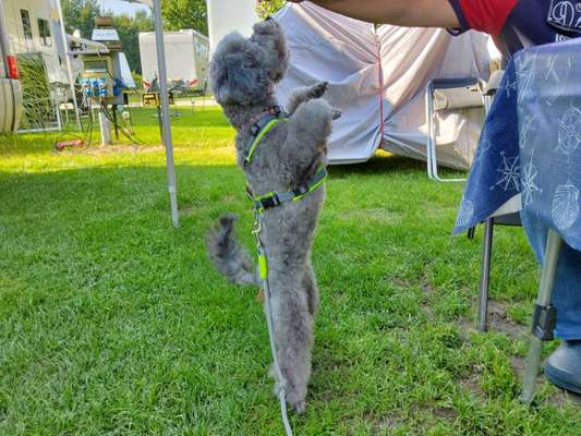 45. Handy - Foto - Challenge-Beitrag-Bild