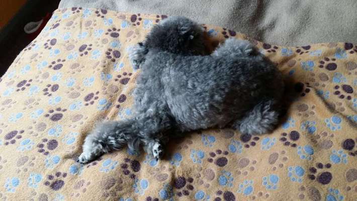 Die unbequemsten und lustigsten Schlafpositionen-Beitrag-Bild