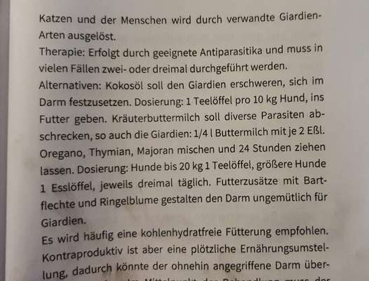 Brauche eure Hilfe! Giardien - Ernährung-Beitrag-Bild