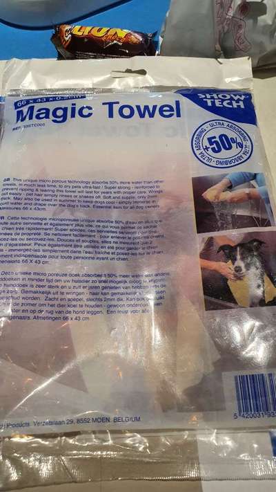 Alles rund um den Pudel-Beitrag-Bild