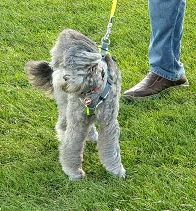 Fotochallenge Nr 50 Vom Winde verweht-Beitrag-Bild