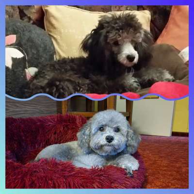 28. Handy-Fotochallenge - Damals und heute-Beitrag-Bild