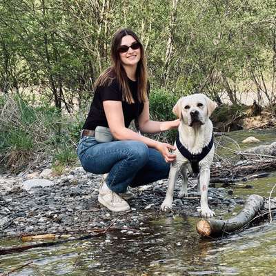 Hundetreffen-Neue Gegend, neue Hundefreunde 🐶-Bild