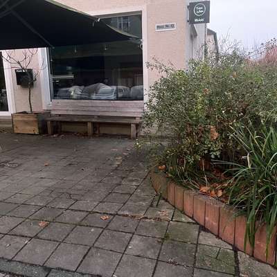 Giftköder-Rattenköder-Bild