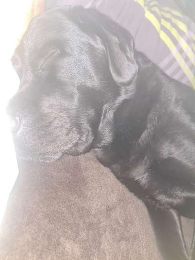 Schlafzeit!💖-Beitrag-Bild