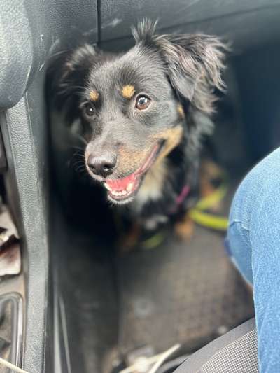 Handy-Foto Challange Nr. 10-Beitrag-Bild