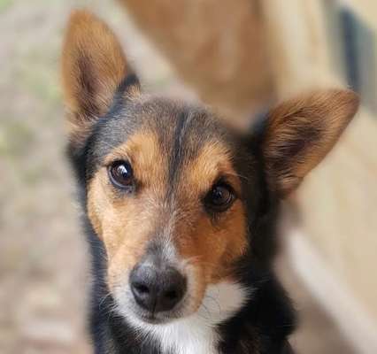 Fotochallange Nr. 57     PORTRÄT.   Beendet!!!!!!!!-Beitrag-Bild