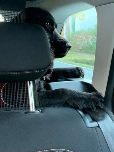 117. Fotochallenge-Beitrag-Bild