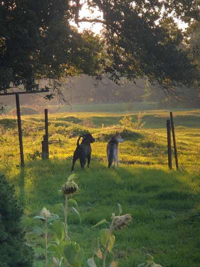 Fotochallenge Nr 107-Beitrag-Bild