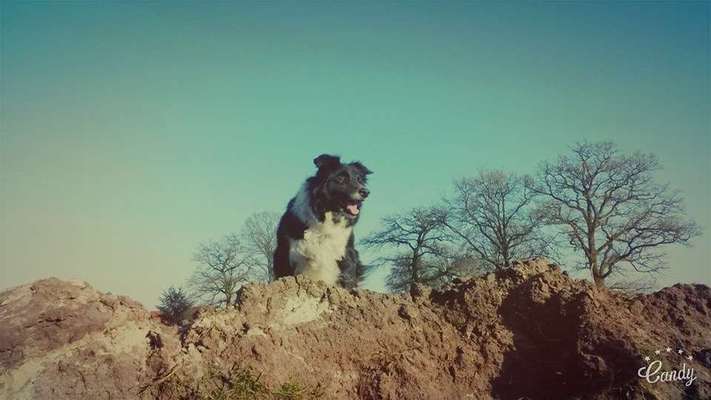 Fotochallenge Nr 107-Beitrag-Bild