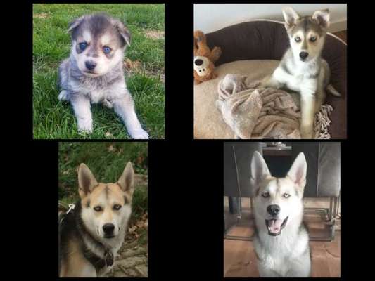 Vorher.... Nachher-Beitrag-Bild