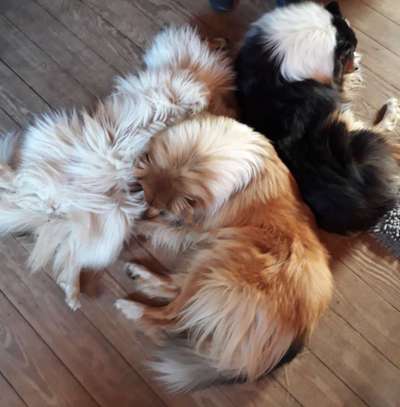 FOTO-Challenge  NR. 91: Die pure Entspannung-Beitrag-Bild