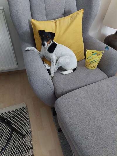 149. Foto Challenge: Wer ist hier der Boss!-Beitrag-Bild